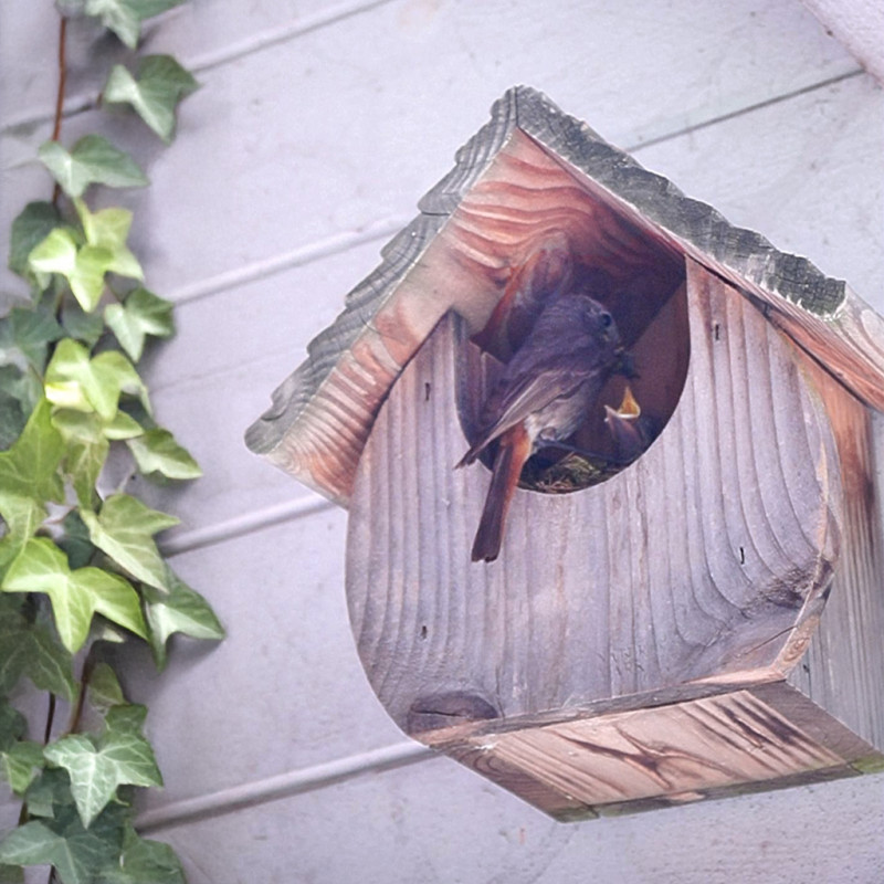 Nichoir semi ouvert pour oiseaux : le Dodu : rouge gorge, merle... Natures Market  Oisillon.net Fabriqué en France.