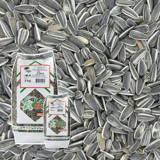 tournesol strié pour oiseaux natures market oisillon.net tournesol strié pour oiseaux natures market oisillon.net