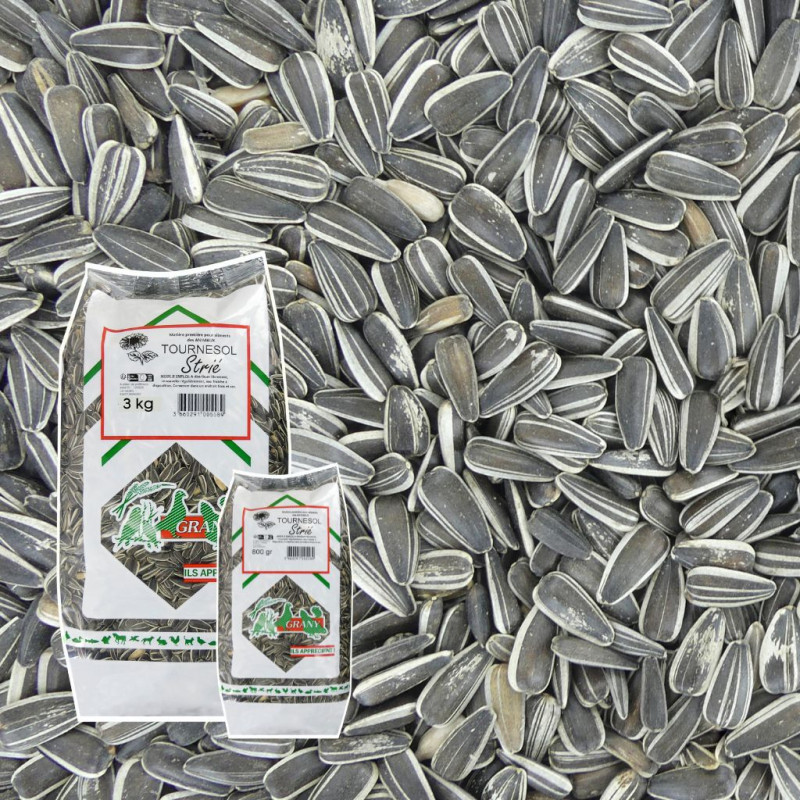 tournesol strié pour oiseaux natures market oisillon.net