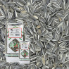 tournesol strié pour oiseaux natures market oisillon.net tournesol strié pour oiseaux natures market oisillon.net