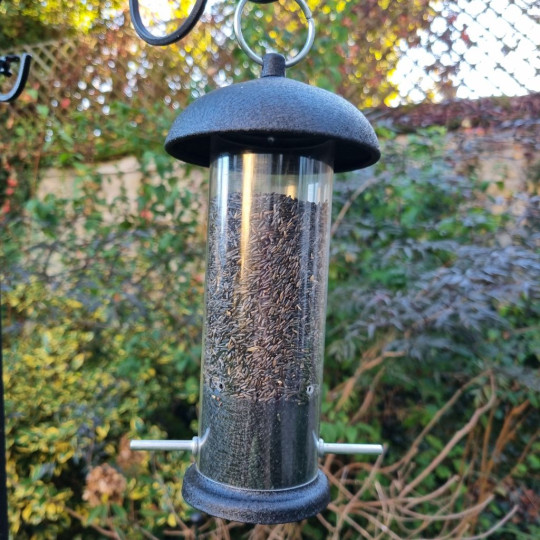 mangeoire graines de niger natures market oisillon.net mangeoire graines de niger natures market oisillon.net