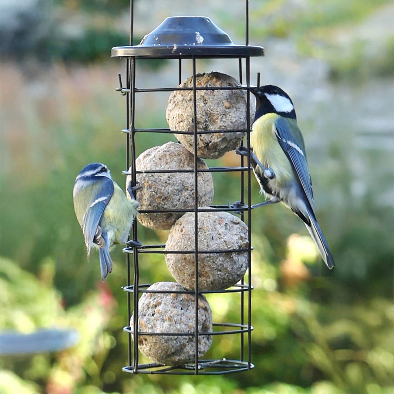 boules de graisse végétale fabriquées en France. Sans huile de palme Natures Market Oisillon.net