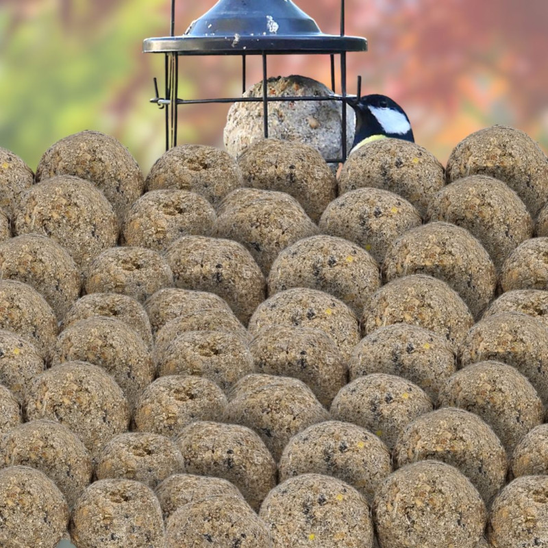 boules de graisse végétale fabriquées en France. Sans huile de palme Natures Market Oisillon.net