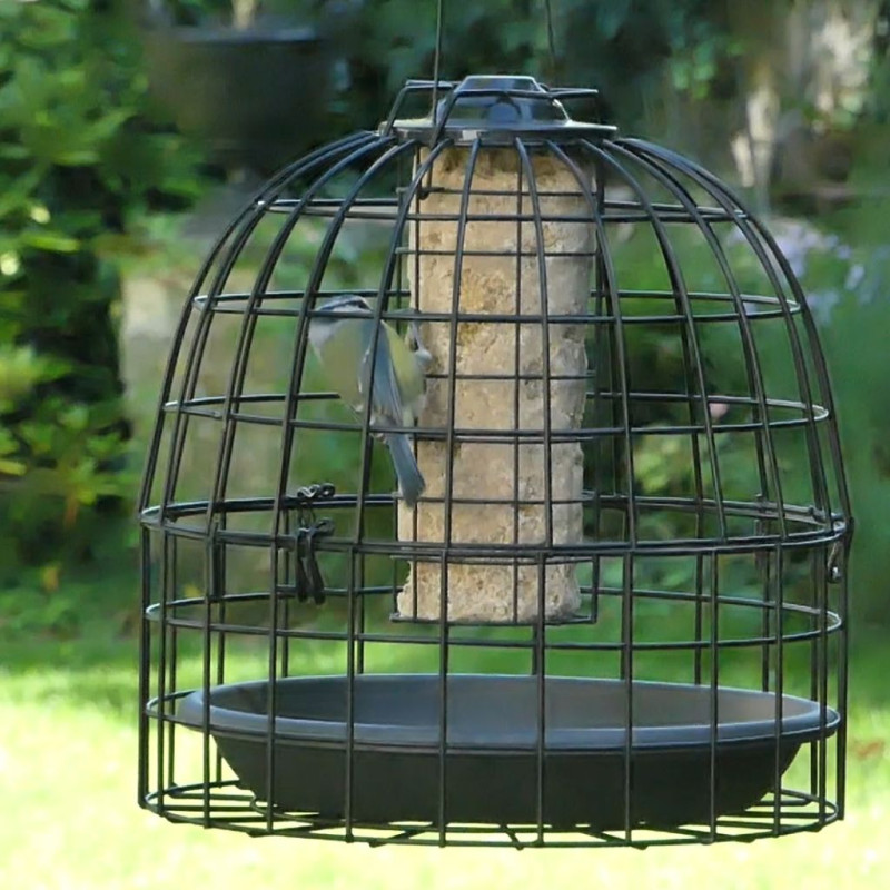 soucoupe assiette pour grille anti étourneaux natures market Oisillon.net