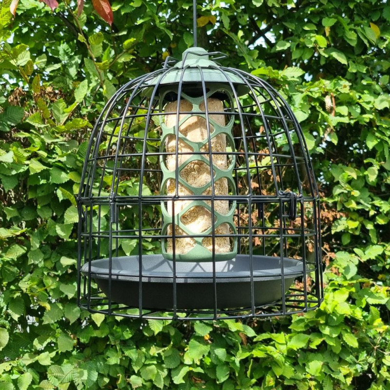 soucoupe assiette pour grille anti étourneaux natures market Oisillon.net