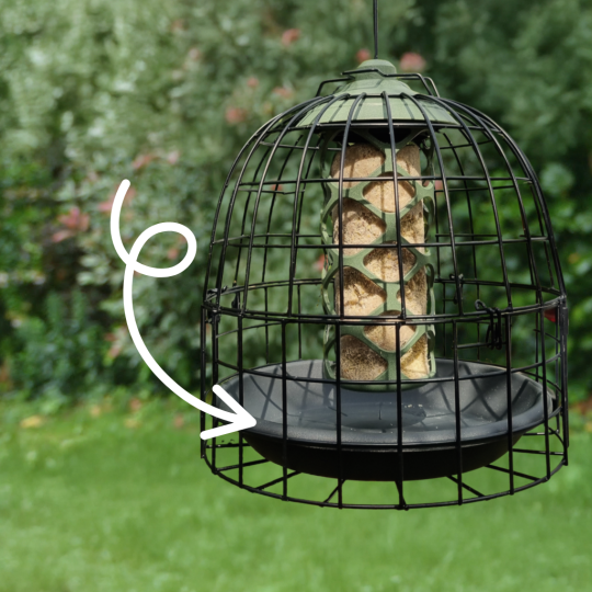 soucoupe assiette pour grille anti étourneaux natures market Oisillon.net