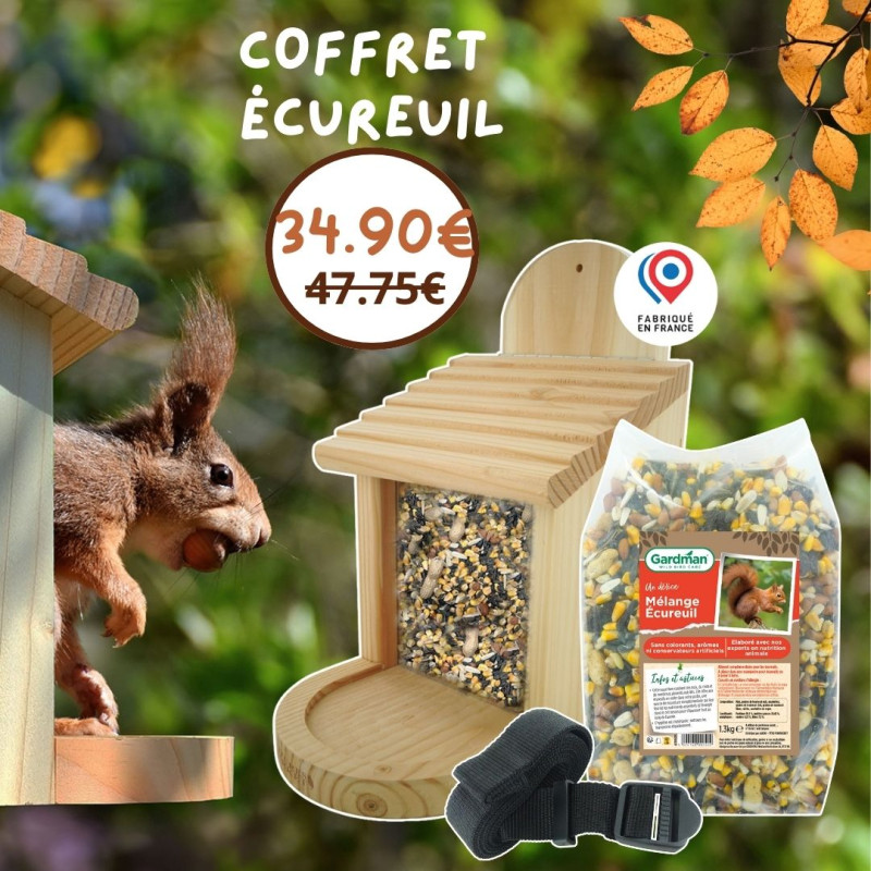mangeoire et graines pour écureuils. fabriqué en France. Made in France. Natures Market oisillon.net