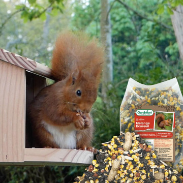 Mélange de graines pour écureuils Natures Market Oisillon.net