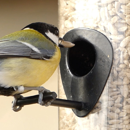 BIRD FRIDAY Tournesol : 1 mangeoire OFFERTE Nature Market Bird Friday ! Par ici...