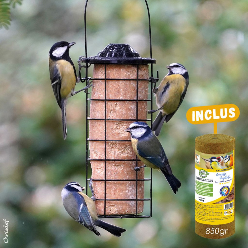 Mangeoire pour oiseaux pour cylindre et blocs de graisse ou boules de graisse Natures Market Oisillon.net photo chrisdef