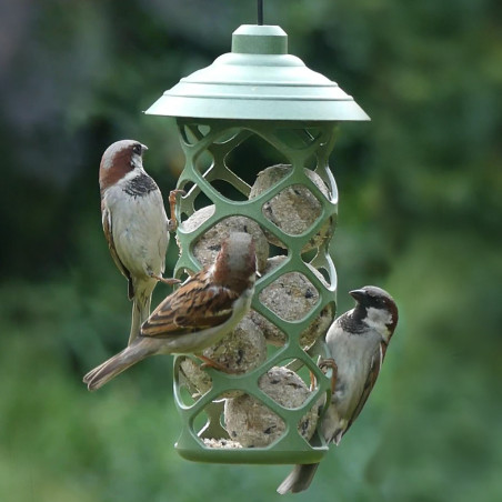 Mangeoire Pause gourmande fabriquée en France pour boules de graisse et cylindre de graisse. Natures Market . Oisillon.net