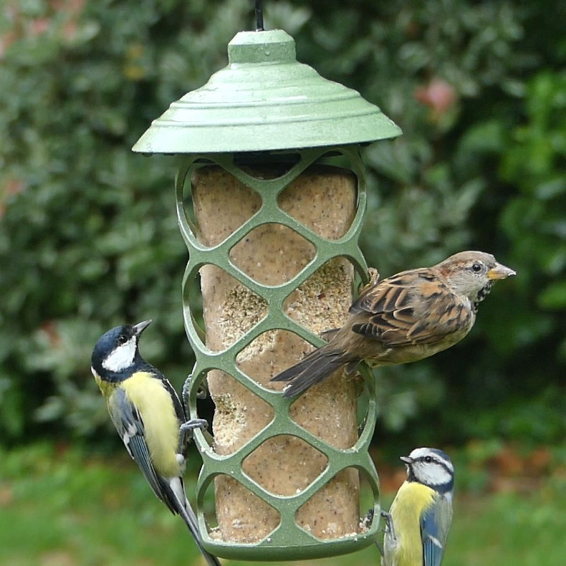 Mangeoire Pause gourmande fabriquée en France pour boules de graisse et cylindre de graisse. Natures Market . Oisillon.net