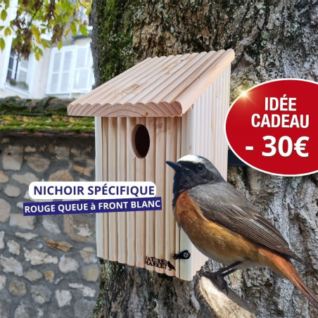 Nichoir Spécial Rouge Queue front blanc Nature Market Cadeaux UTILES pour la BIODIVERSITÉ !