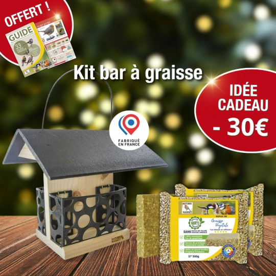 Mangeoire Bar à Graisse + 2 repas Nature Market Cadeaux UTILES pour la BIODIVERSITÉ !