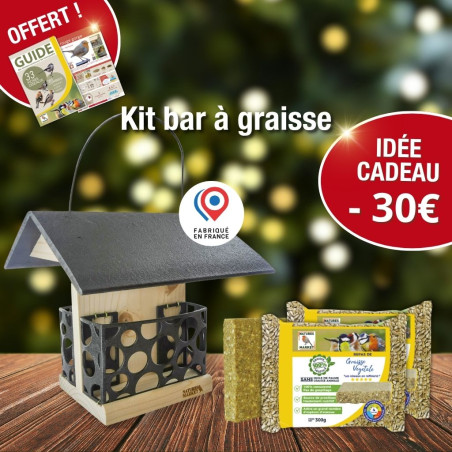 Mangeoire Bar à Graisse + 2 repas Nature Market Cadeaux UTILES pour la BIODIVERSITÉ !
