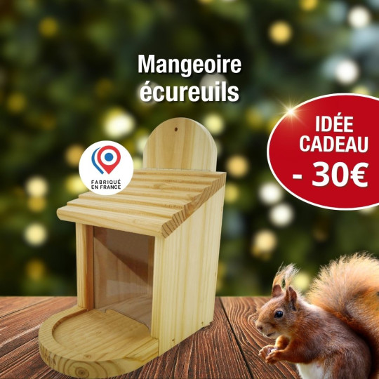 Mangeoire "Ecureuils" et/ou Oiseaux Nature Market Cadeaux UTILES pour la BIODIVERSITÉ !