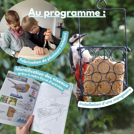 Kit "Anniversaire" x 4 nichoirs à construire... Nature Market Kits pour les enfants