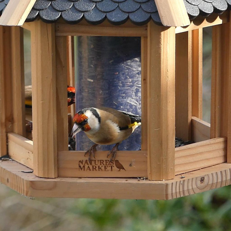 Mangeoire oiseaux fabriquée en France en matériau recyclé et bois français. Natures Market. Oisillon.net