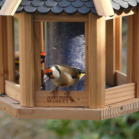 Mangeoire oiseaux fabriquée en France en matériau recyclé et bois français. Natures Market. Oisillon.net