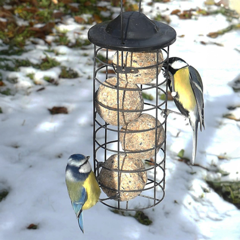 boules de graisse végétale aux insectes fabriquées en France. Sans huile de palme Natures Market Oisillon.net