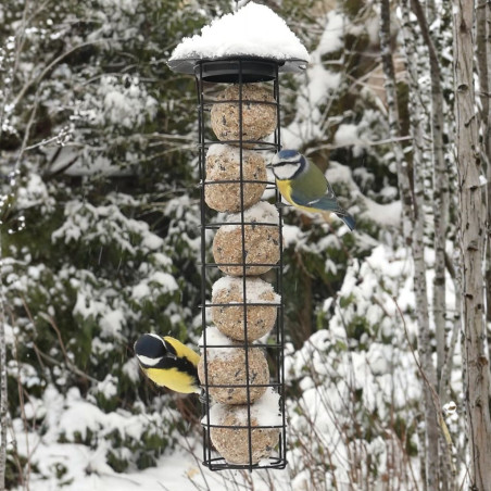 Boules de graisse VÉGÉTALE SANS huile de palme x 50 Nature Market Nourritures