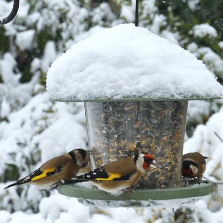 Mangeoire "Émilie" recyclée Nature Market Offrez un cadeau qui a du sens !