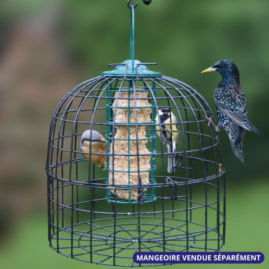 grille anti étourneaux perruches pigeon pie NM213 cage Natures Market Oisillon.net