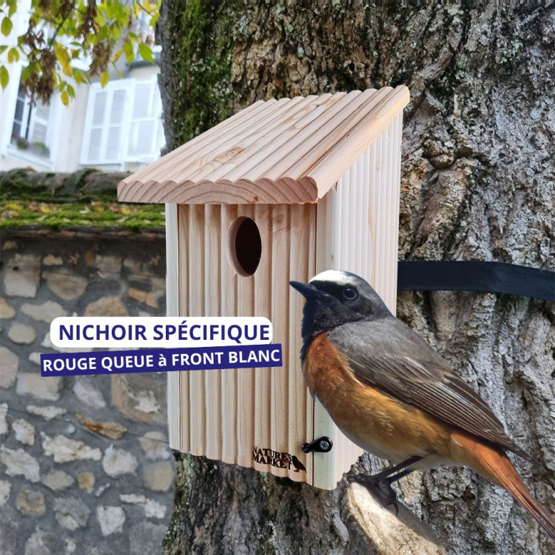 nichoir spécial Rouge queue à Front Blanc fabriqué en France Made in France Natures Market Oisillon.net NM729 bois