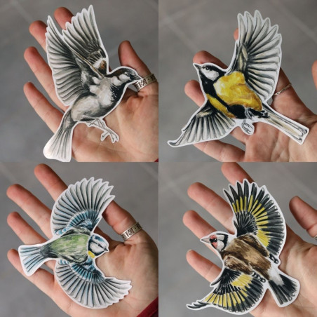 stickers autocollants electrostatiques anti collision oiseaux fabriqué en France. Natures market. Gardif.