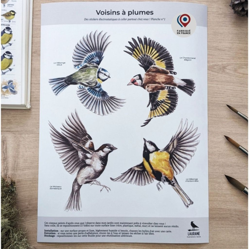 stickers autocollants electrostatiques anti collision oiseaux fabriqué en France. Natures market. Gardif.