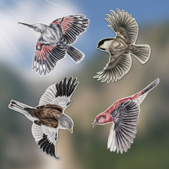 stickers autocollants electrostatiques anti collision oiseaux fabriqué en France. Natures market. Gardif.