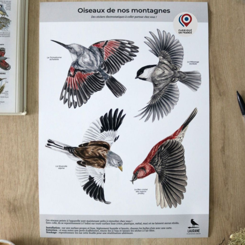 stickers autocollants electrostatiques anti collision oiseaux fabriqué en France. Natures market. Gardif.