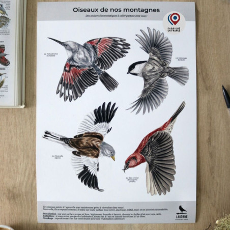 stickers autocollants electrostatiques anti collision oiseaux fabriqué en France. Natures market. Gardif.