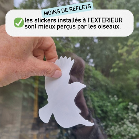 stickers autocollants electrostatiques anti collision oiseaux fabriqué en France. Natures market. Gardif.