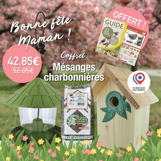 Coffret : Attrape Rêve ! Moineaux, Sittelles Torchepots et Rougequeues à Front Blanc Natures Market Oisillon.Net fabriqué France