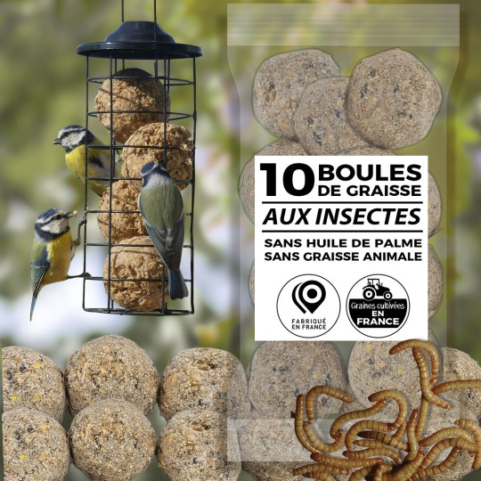 boules de graisse végétale aux insectes fabriquées en France. Sans huile de palme Natures Market Oisillon.net