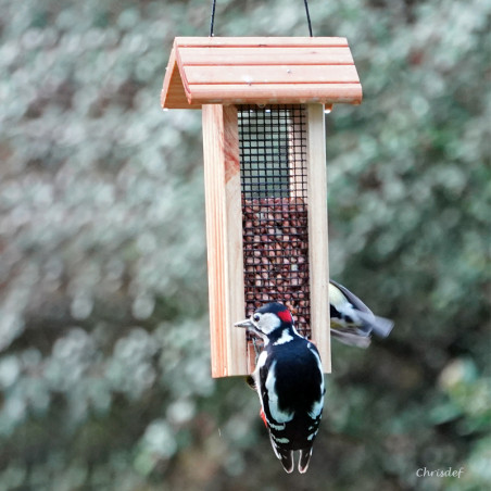cacahuètes décortiquées pour oiseaux du ciel et du jardin. Natures Market Oisillon.net