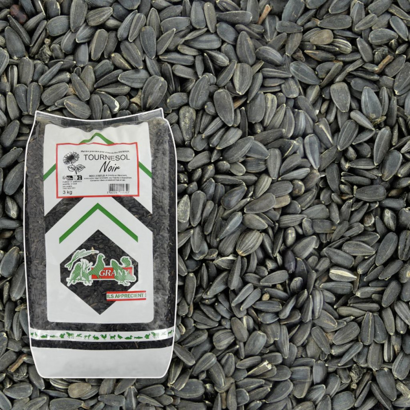 Tournesol noir strié pour nourrir les oiseaux Natures market Oisillon.net