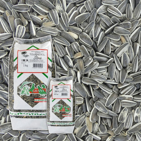 tournesol strié pour oiseaux natures market oisillon.net