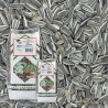 tournesol strié pour oiseaux natures market oisillon.net