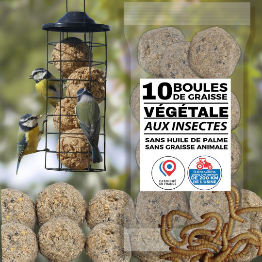 boules de graisse végétale aux insectes fabriquées en France. Sans huile de palme Natures Market Oisillon.net