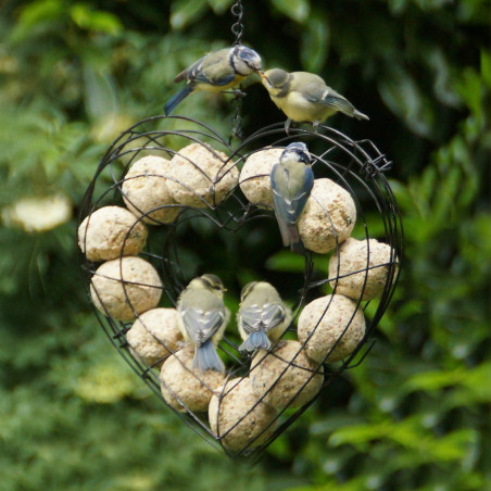 boules de graisse végétale fabriquées en France. Sans huile de palme Natures Market Oisillon.net