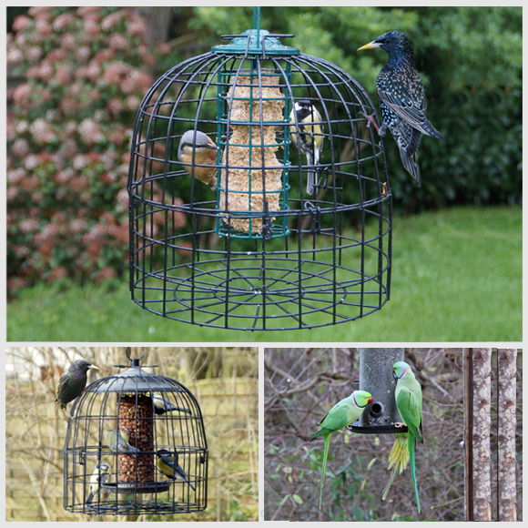 Cage oiseaux sur pied : perruche et grande perruche