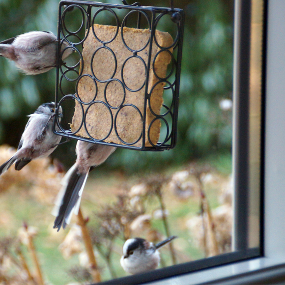 Iborn Mangeoire Mini Chargeur avec cintre pour oiseaux sauvages Seed Feeder Peanut Graines 