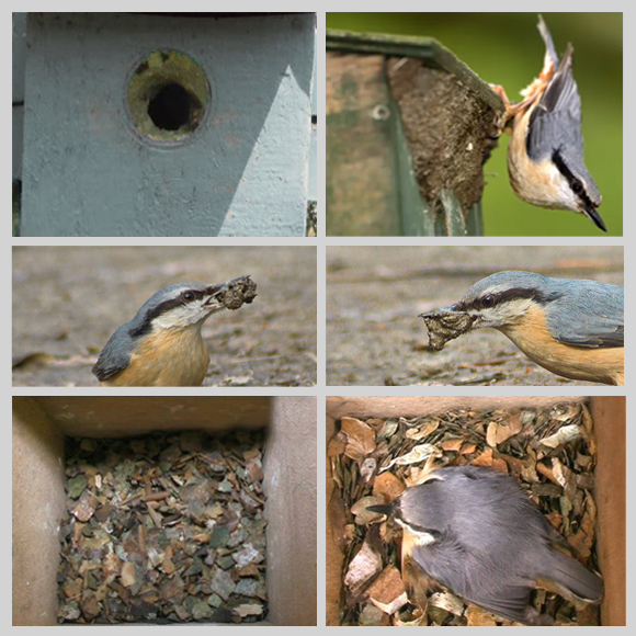 Nichoirs pour la plupart des oiseaux de nos jardins