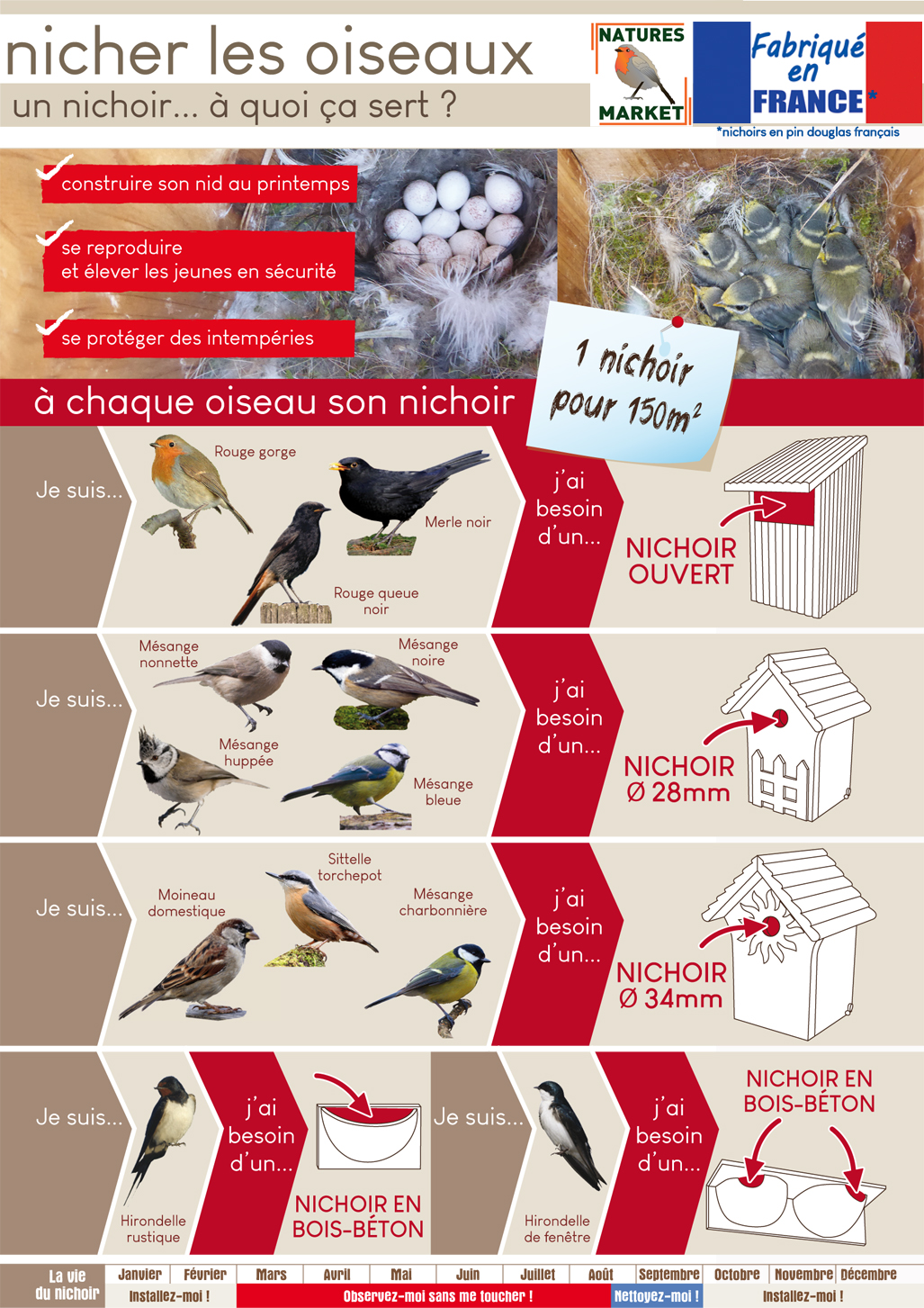 Les astuces à connaître pour construire une cabane à oiseaux